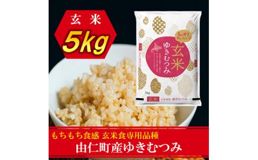 TT11　 令和８年産　ゆきむつみ　5kg