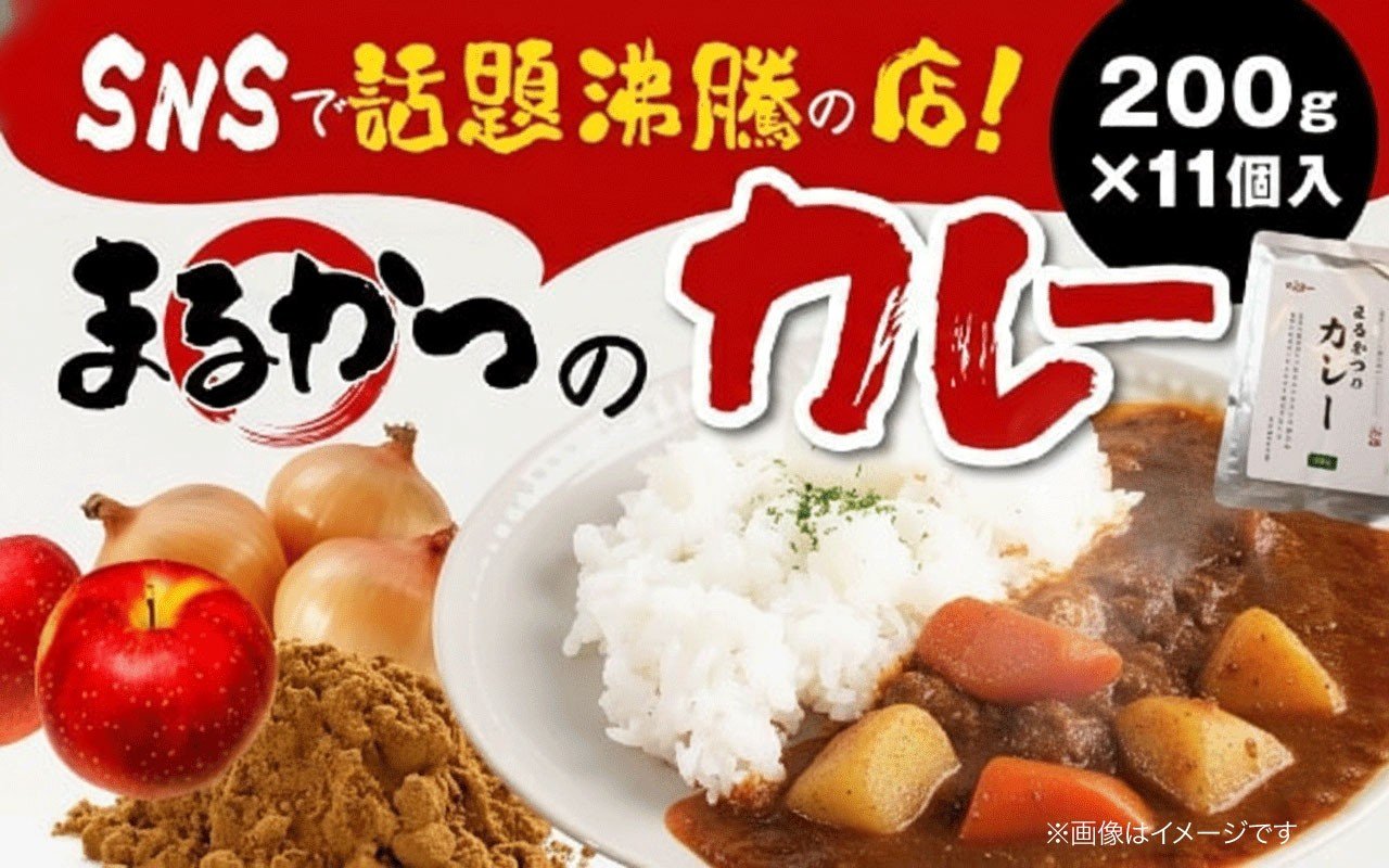 
                  カレー レトルト 200g×11個入 野菜なし 野菜入り レトルトカレー 野菜 野菜入りカレー やさい かれー レトルト食品 小分け パック 簡単 時短 料理 ご飯 ご飯のお供 ごはんのお供 ごはん おかず 惣菜 長期保存 保存食 常備食 防災 まるかつのカレー 奈良県 奈良市 
                