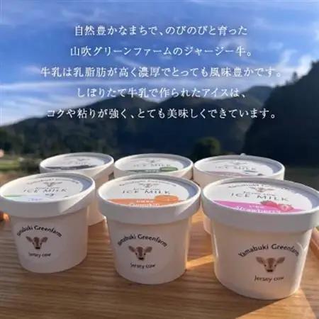 ジャージー牛の生乳を使用したアイス6個セット(ミルク・チョコ・コーヒー・いちご・抹茶・かぼちゃ)【配送不可地域：離島】【1576638】