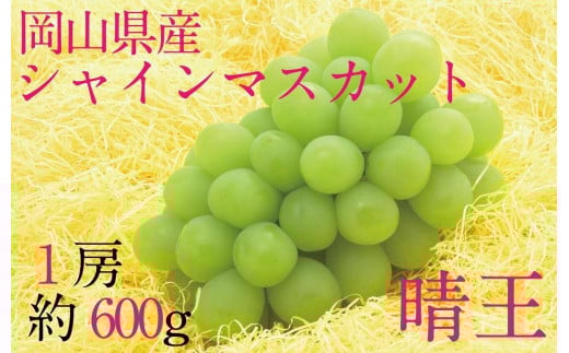 HT08【先行予約】シャインマスカット晴王　1房【化粧箱入】　約600g