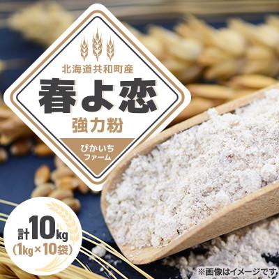 ふるさと納税 共和町 【北海道共和町】ぴかいちファーム【春よ恋】強力粉1kg×10袋(計10kg)
