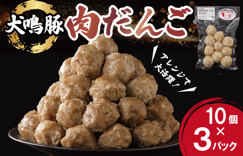 005A550 犬鳴豚の手作り肉団子（30個入り）【国産 豚肉 泉佐野ブランド豚 犬鳴ポーク】