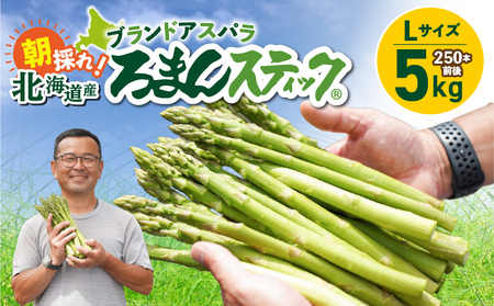ロマンス農園 ろまんスティック Lサイズ 5kg T049-003 アスパラガス 野菜 やさい 旨味 うま味 新鮮 やわらかい みずみずしい 糖度 天ぷら グリル ベジタブル ふるさと納税 北海道 苫小牧市 おすすめ ランキング プレゼント ギフト