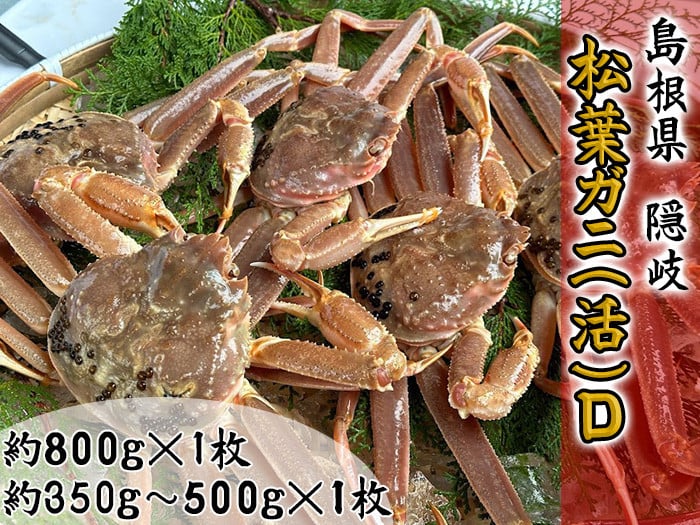 
            2707　【木村鮮魚店提供】　隠岐松葉ガニ(活)D　
          