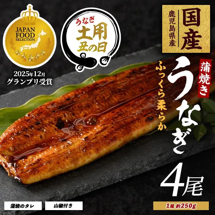 【丑の日に合わせてお届け！】【鹿児島県産】うなぎ蒲焼じっくり焼き約250g×4尾 木目化粧箱入り(大新/IB021-003u) うなぎ