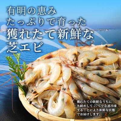 ふるさと納税 鹿島市 冷凍芝エビ(真エビ)2.5kg(500g×5パック) |  | 01
