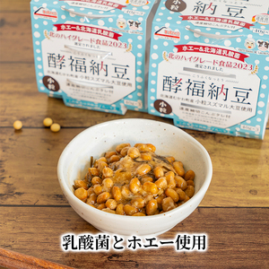 2ヵ月連続お届け「なかいさんちの手造り納豆」酵福納豆(40g×3パック) 計8個 