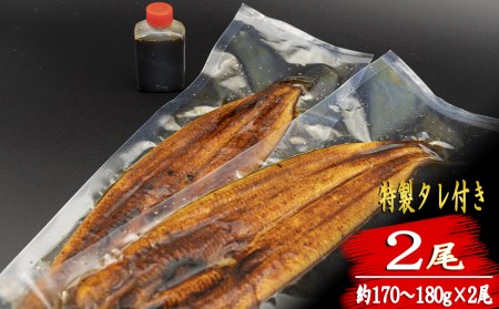 厳選!!高知県産うなぎの蒲焼き(2尾) 3回定期便