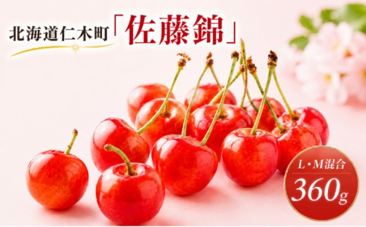 
            北海道 仁木町産 さくらんぼ 佐藤錦 360g (180g×2パック) L-Mサイズ 混合　旬 桜桃 産地直送 サクランボ チェリー フルーツ 果物 果物類  仁木町 仁木 [松山商店]
          