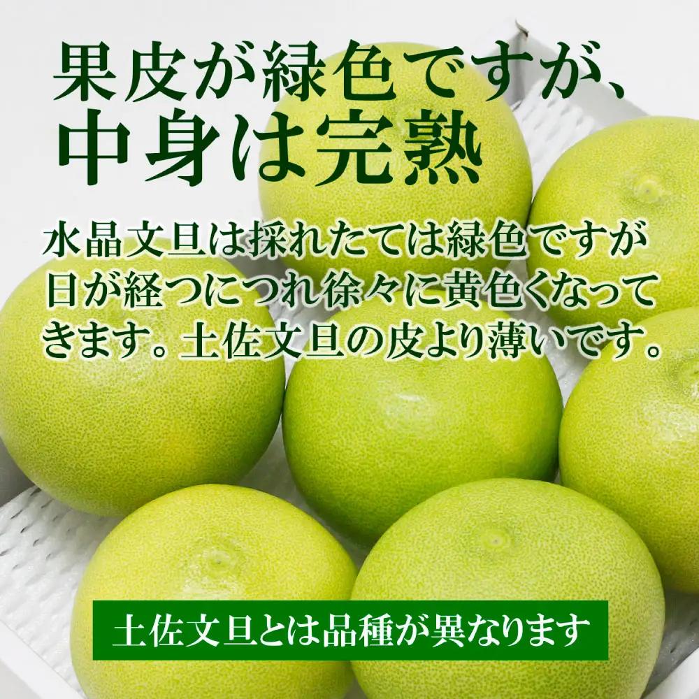 【先行予約】高知県産水晶文旦 特選ご贈答用 2Lサイズ 3個入り〈2026年10月上旬?11月上旬頃発送〉  /  ぶんたん ブンタン 水晶文旦 果物 柑橘 フルーツ お取り寄せ 特産品 おいしい【白