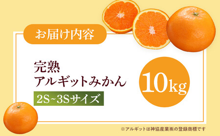 【年内発送指定】 完熟 小粒 アルギット みかん 10kg 2S ～ 3S サイズ 【発送期間：2025年12月21日～12月30日】 先行予約 ちっちゃい 小粒 小玉 みかん 有田みかん 甘い おい