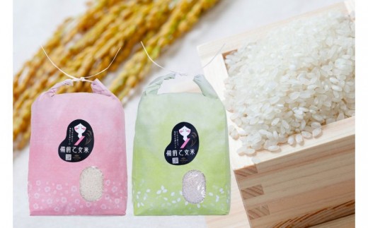 
                  令和8年産 新米 先行予約 備前乙女米 白米 5kg×2袋 岡山県産 | 米 お米 白米 精米 特A きぬむすめ 石原果樹園 【ishk046-01】
                
