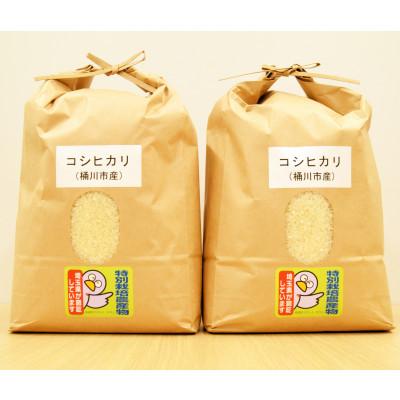 ふるさと納税 桶川市 小島農園の特別栽培米　桶川産コシヒカリ　5kg×2袋 |  | 01