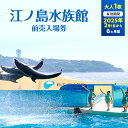 【ふるさと納税】チケット 神奈川 【新江ノ島水族館】前売入場券（大人1枚）有効期間2025年2月1日～6ヵ月間 水族館 前売 入場券 江ノ島 藤沢市 神奈川県 プレゼント ギフト　お届け：2025年1月10日～1月31日まで