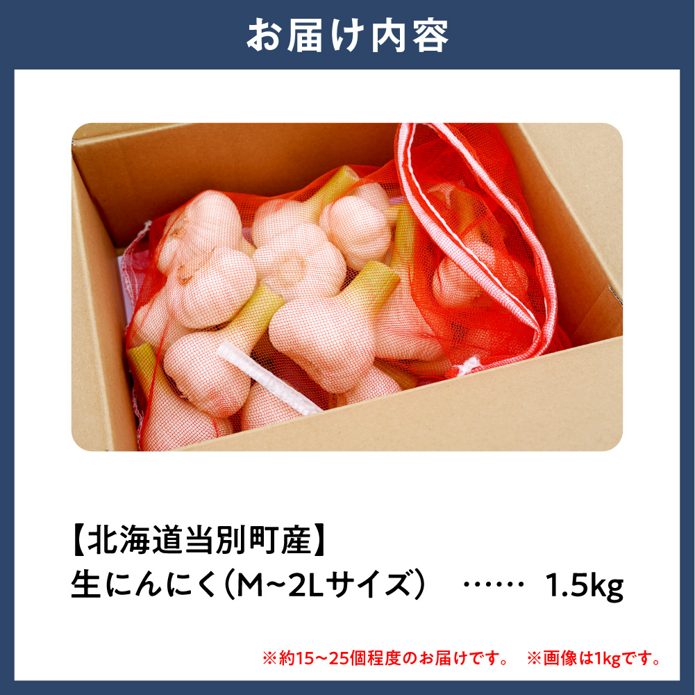 【令和9年度先行受付】生にんにく（福地ホワイト六片種）1.5kg 野菜　にんにく　当別町　北海道_tb22-004