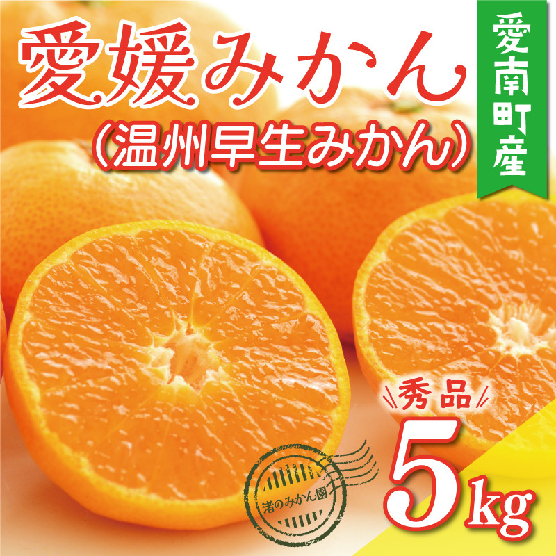 
                  先行予約 愛媛みかん 秀品 （ 温州 早生 みかん ） 5kg 10000円 愛媛 みかん 温州みかん 早生 みかん こたつ みかん mikan 蜜柑 ミカン 家庭用 贈答用 産地直送  農家直送 糖度 期間限定 数量限定 特産品 ゼリー ジュース アイス 人気 限定 甘い フルーツ 果物 柑橘 先行 事前 予約 受付 ビタミン 美味しい おいしい サイズ ミックス 愛南町 愛媛県 渚のみかん園
                