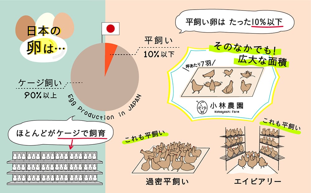 たまご 卵 鶏卵 玉子 生卵 平飼い 北海道 定期便