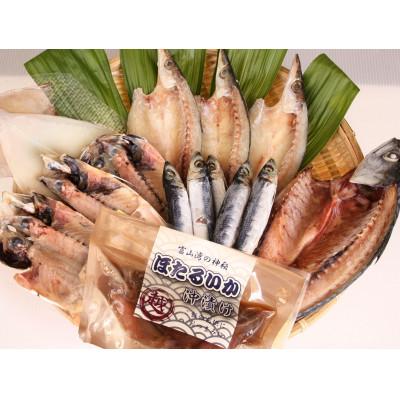 ふるさと納税 氷見市 氷見 堀与 一夜干5種とほたるいかの沖漬