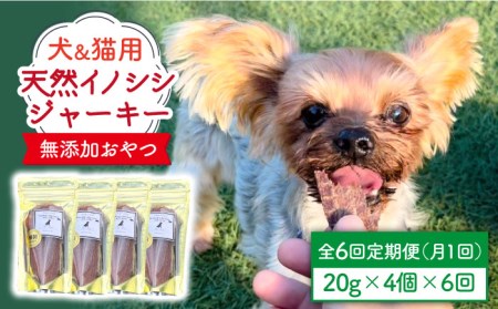 シニア犬＆幼犬＆猫用の無添加おやつ☆固すぎない天然いのししジャーキー6回定期便 わんちゃん ネコちゃん 塩分不使用 イノシシ 猪肉 ジビエ 燻製 おやつ ご褒美 吉野ヶ里町/わんこin食堂 [FCG046]