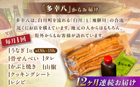 【12回定期便】 うなぎ 蒲焼 1尾 多幸八[AWBL009] うなぎ