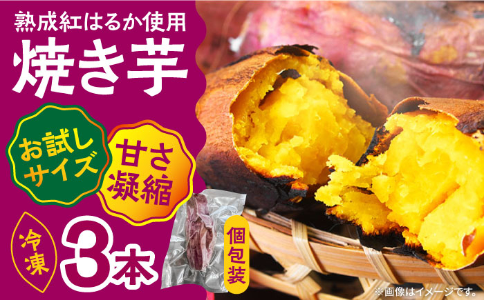 
            【お試し】【ねっとり甘い熟成サツマイモ】冷凍焼き芋（紅はるか） 3本(S～M) / さつまいも やき芋 冷凍 小分け 個包装 冷やし焼き芋 / 南島原市 / 池田海陸物産 [SEW005]
          