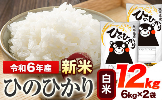 令和6年産 新米 早期先行予約受付中 ひのひかり 白米 12kg 《11月‐12月より出荷予定》 熊本県産 白米 精米 ひの 送料無料 熊本県 山江村