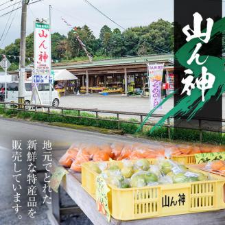 i339 ＜2025年5月下旬～7月下旬の間に発送予定＞うちののメロン(2玉・計4kg以上) メロン 果物 くだもの フルーツ 4kg以上 2玉 青肉 国産 九州産 鹿児島県産 【山ん神】
