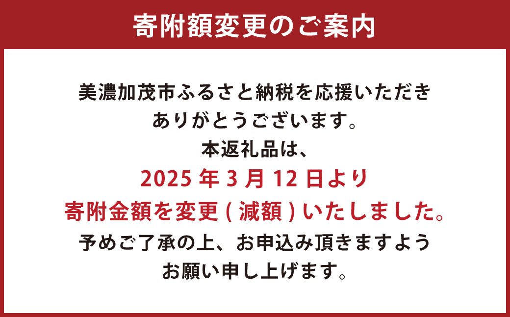 ZERO.REALIZE 硬式用グローブ（Z1 投手用） 定番モデル