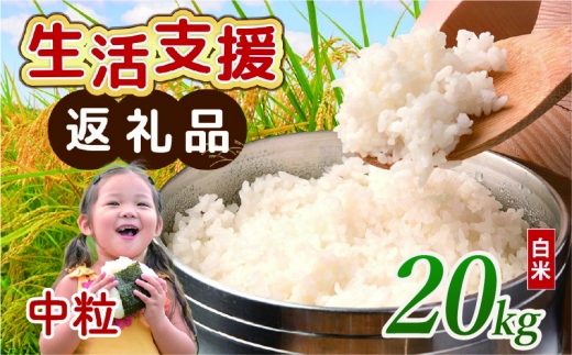 【 訳あり 】 近江ブレンド米 中粒 白米 20kg