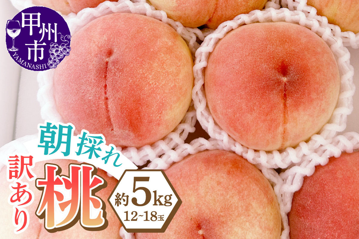 
            味自慢桃【訳あり品】を感謝込めて朝どれでお贈りします！約5kg（12～18玉）【2025年発送】（LMS）B16-415 【桃 もも モモ 令和7年発送 期間限定 山梨県産 甲州市 フルーツ 果物】
          