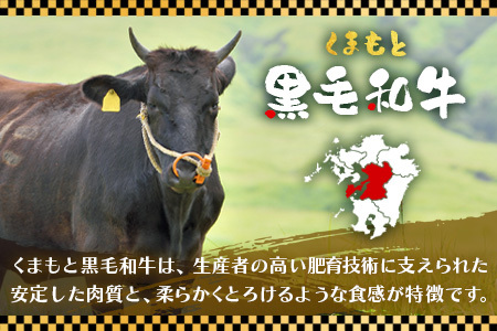 くまもと 黒毛和牛 しゃぶしゃぶ セット 合計300g ( お肉ソムリエ 開発 橙ポン酢 付 ) ソムリエ セレクト 肩 ロース 焼き肉 やき肉 ポン酢 付 本場 熊本県 ブランド 牛 肉 くまもと 