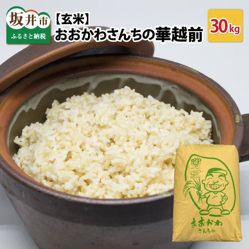 【ふるさと納税】【令和7年産】 おおかわさんちの華越前 玄米 30kg 【お米 こめ ハナエチゼン 30キロ ご飯 ごはん 美味しい ふるさと納税米】