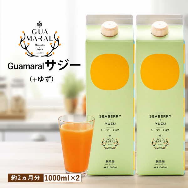 
サジージュース+ゆず 1000ml×2本セット | サジー シーベリー 沙棘 グアマラル 健康ドリンク 健康 美容 栄養 果汁 鉄分補給 栄養補給 健康食品 ギフト 贈答 プレゼント ご褒美 お祝 記念品 _DX05
