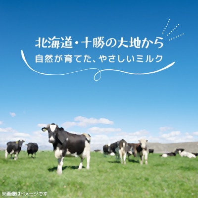 【毎月定期便】風景の牛乳 200ml×24本全12回【配送不可地域：離島】【4084980】