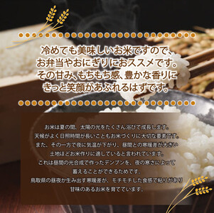 1804.令和7年産　こしひかり　5kg