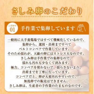 【2ヵ月毎定期便】大阪府富田林産　さしみ卵80個〜90個(季節により個数・サイズが変動します)全6回【4071501】