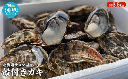 カキ サロマ湖産 殻付き 生食 カキ【約3.5kg】