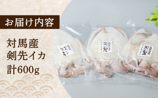 剣先 イカ 刺身 セット 600g《対馬市》【海風商事】長崎 九州 海鮮 天ぷら [WAD020]冷凍 刺し身 剣先いか 魚介 海産物 あかいか まるいか いか もう1品 おかず いかそうめん おつま