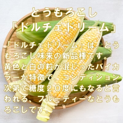 【先行受付2024年】とうもろこし　ドルチェドリーム　約3.0kg　数量限定【配送不可地域：離島】