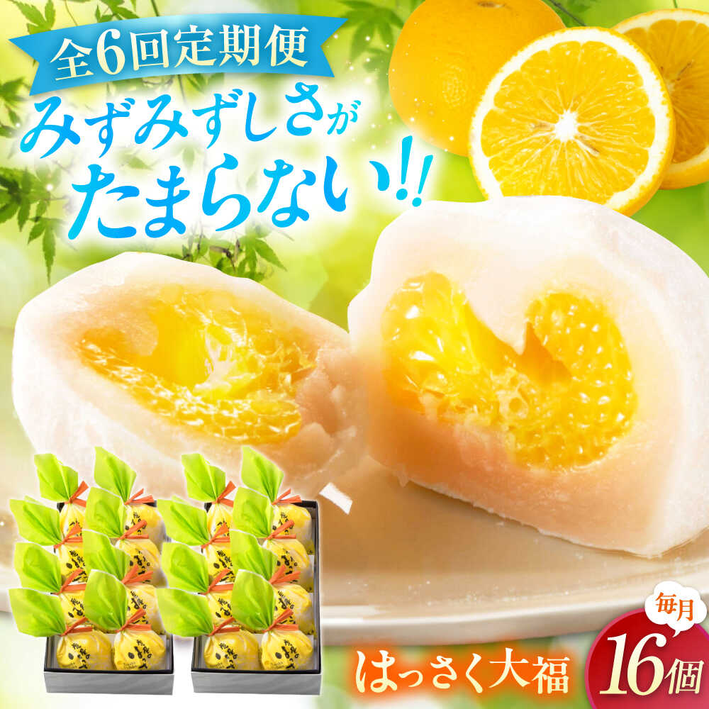 【ふるさと納税】【6回定期便】お菓子 はっさく大福 8個入×2　 お菓子 大福 八朔 柑橘 みかん オレンジ はっさく 餅 ギフト お取り寄せ スイーツ フルーツ大福 ご当地 菓子 おかし デザート 食品 人気 おすすめ 広島県福山市/株式会社虎屋本舗[BADH027]