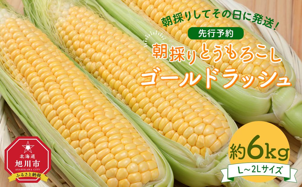 【先行予約】朝採り とうもろこし ゴールドラッシュ 約6kg (L～2Lサイズ×15本) (2025年8月下旬発送予定)_01707