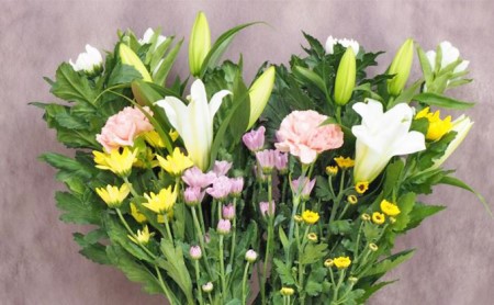 定期便  12回 仏花 お花  生花 組花 2束  |    