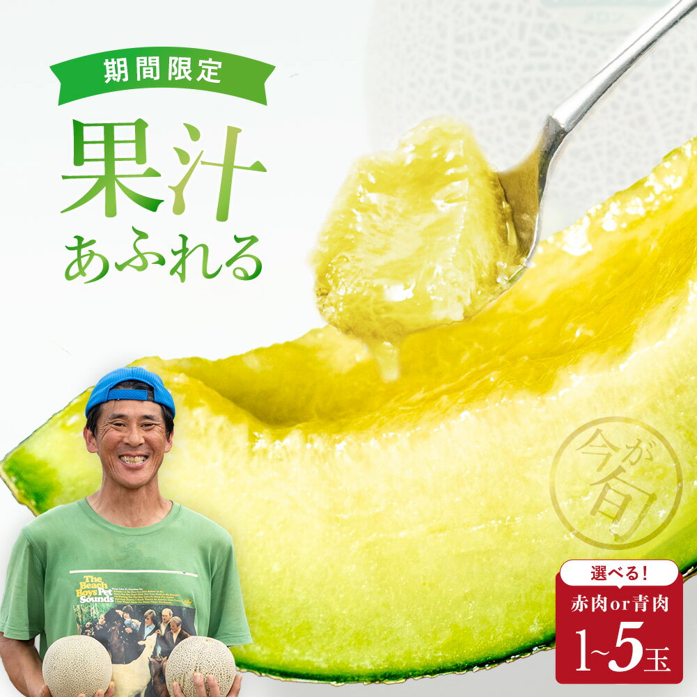 【ふるさと納税】メロン めろん ＼ 生産量日本一 ／ イバラキング 青肉 1玉 ～ 5玉 1.2kg ～ 4.5kg 甘い フルーツ 果物 旬 大玉 絶品 産地直送 高級 おすすめ 人気 国産 ジューシー ギフト プレゼント 贈り物 数量限定 期間限定 安心安全 茨城県 鉾田市 方波見農園 送料無料