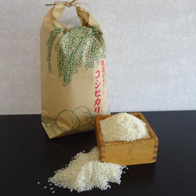 ふるさと納税 いわき市 福島県産コシヒカリ(精米)5kg+鮮さんま2kg(15〜20尾)【複数個口で配送】