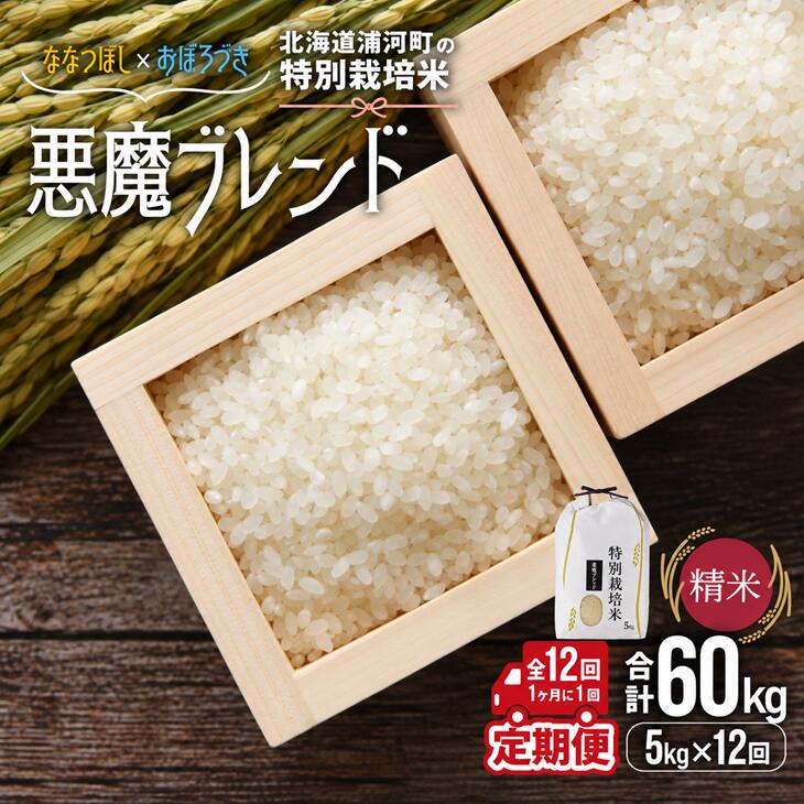 【ふるさと納税】北海道浦河町の特別栽培米「悪魔ブレンド」精米(5kg×1袋)定期便(全12回)[37-1653] 北海道 浦河 ふるさと納税 特別栽培米 ななつぼし おぼろづき ブレンド米 令和8年度 米 精米 定期便 全12回 送料無料