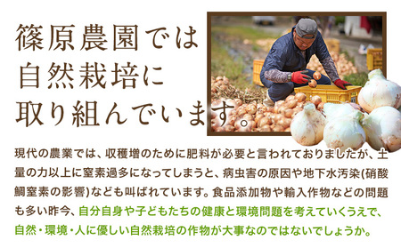 玉ねぎ 節減対象農薬 当地比5割減 サラダ玉ねぎ (中サイズ) 2kg《2月中旬-3月下旬頃出荷》熊本県 葦北郡 津奈木町 篠原農園 野菜 たまねぎ 自然栽培 大小サイズ混合