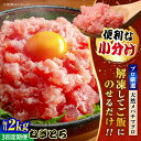 【ふるさと納税】【全3回定期便】まぐろ ねぎとろ 約2kg（約500g×4パック） 鮪 マグロ 魚 ネギトロ 横須賀【本まぐろ直売所】[AKAK038]