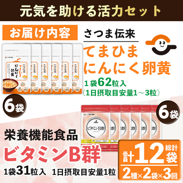 No.1298-A ＜定期便・全3回(隔月)＞活力セット(てまひま にんにく卵黄・ビタミンB群/各2袋×3回 計12袋) 鹿児島 日置市 ニンニク 健康食品 栄養 カプセル 安全安心【てまひま堂】