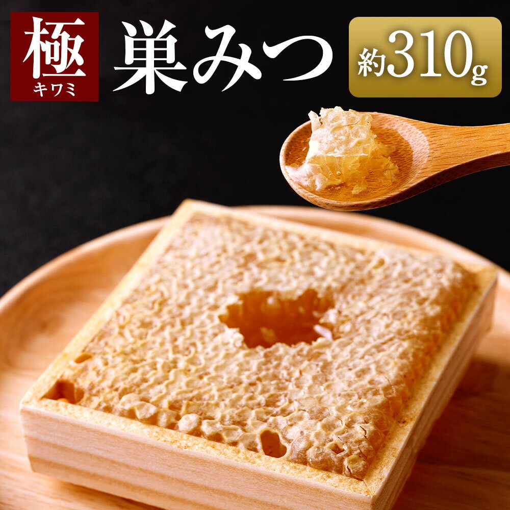 【ふるさと納税】★先行受付★【2025年7月より順次発送】「極（キワミ)巣みつ」 蜜蜂が巣に貯蔵したままの蜂蜜です 310g 巣蜜 蜂蜜 はちみつ ハチミツ 国産 極上 自然 木箱