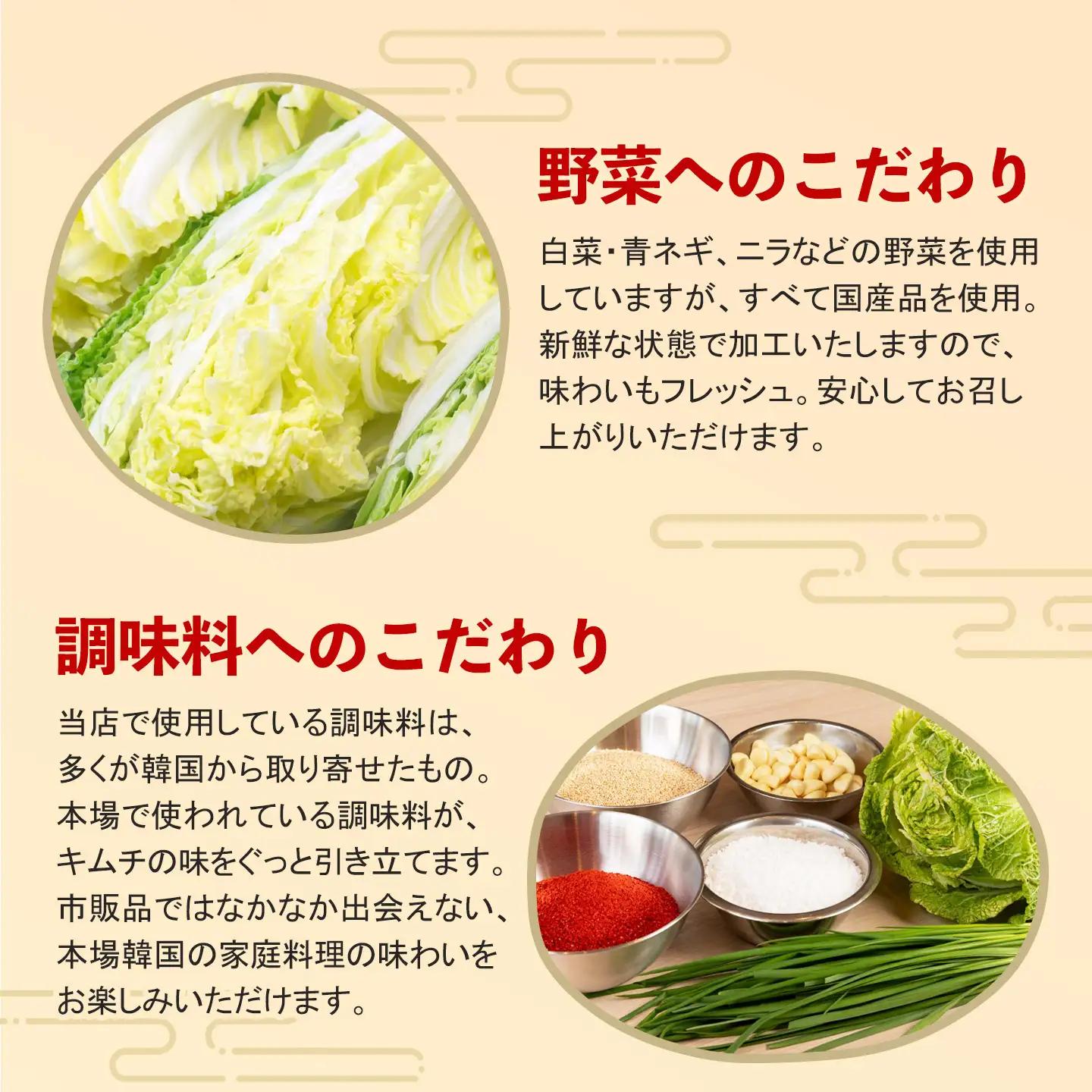 【12カ月定期便】熟成秘伝のさきいかキムチ(100g×2パック)(H104235)